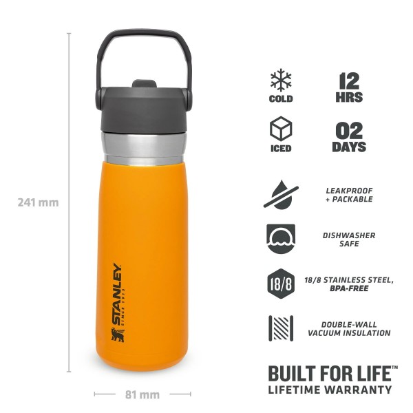 Stanley GO Ice Flow Water Bottle Orange 22OZ 0.65 L