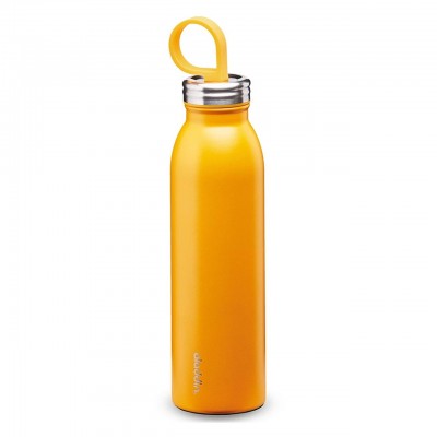 Aladdin 0.55L Chilled Thermavac ™ Stainless Steel - Steel Water Thermos